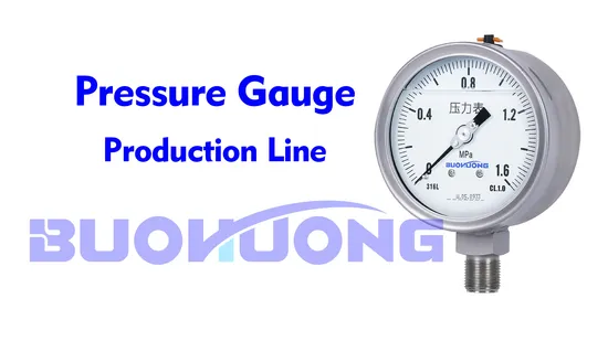 All Stainless Steel Diaphragm Seal Sanitary Diaphragm Seal with Pressure Gauges